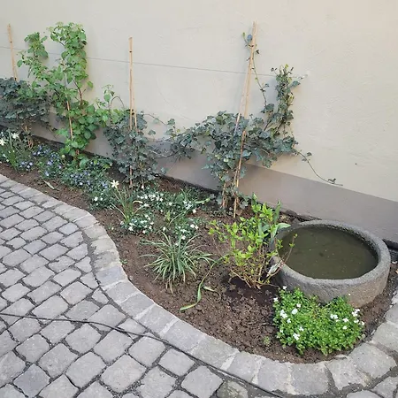 Διαμέρισμα Mayener Jung Mit Schoenem Innenhof *