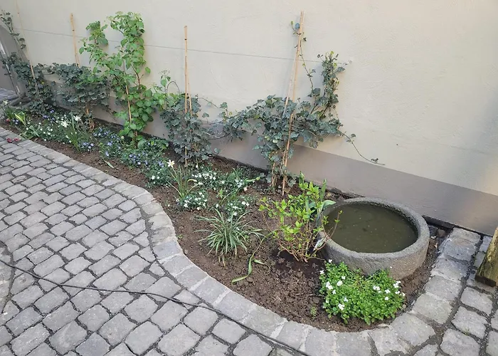 Διαμέρισμα Mayener Jung Mit Schoenem Innenhof *