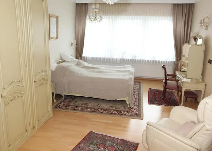 Mayener Jung Mit Schoenem Innenhof 马延